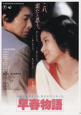 欧美A视频灰港电影海报